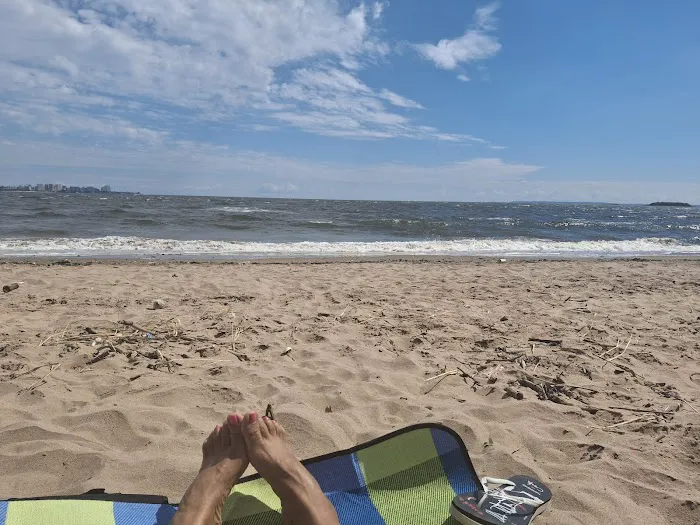 Fort Wadsworth Campsite 6