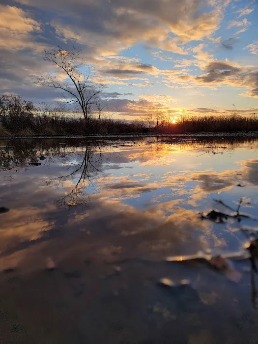 Fort Wadsworth Campsite 7