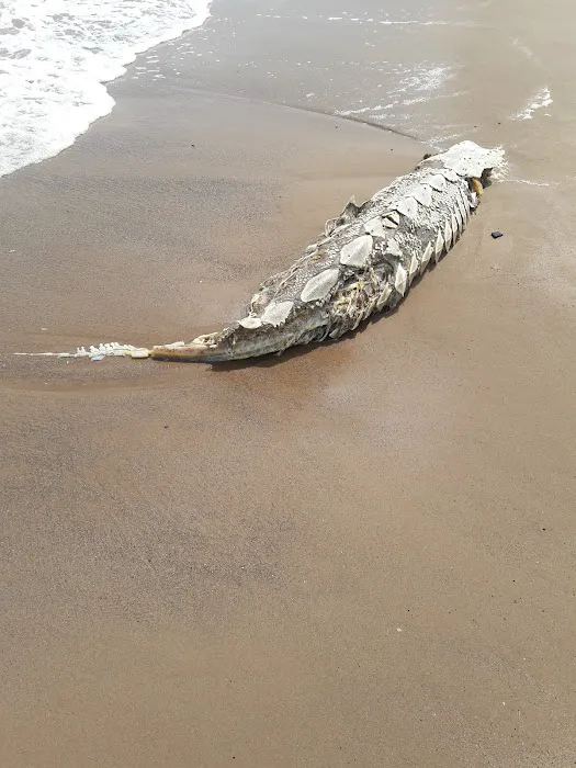 Camp Gateway - Staten Island 4