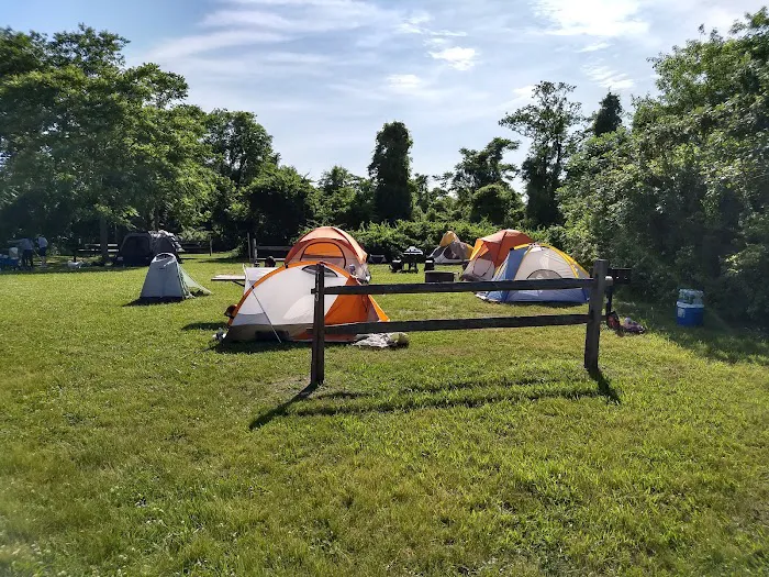 Camp Gateway Brooklyn Tamarak and Goldenrod 8