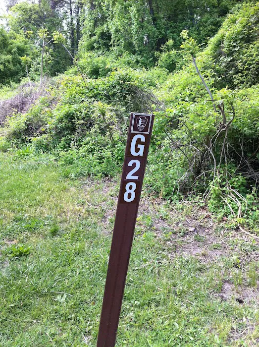 Camp Gateway Brooklyn Tamarak and Goldenrod 9