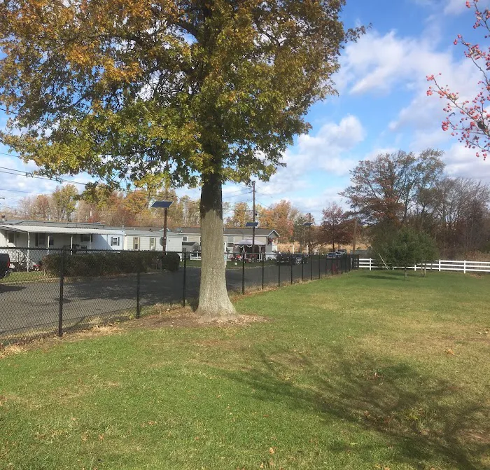 Tower Trailer Park 6