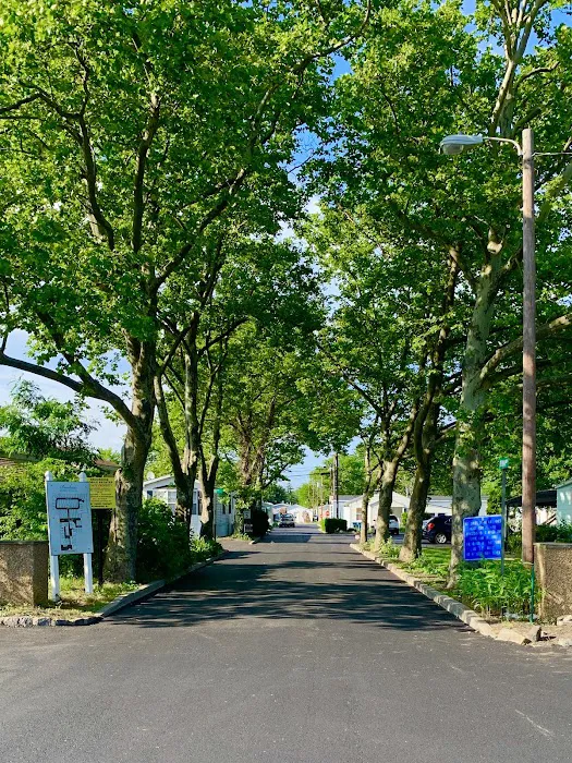 Brookside Mobile Estates Manufactured Home Community 5