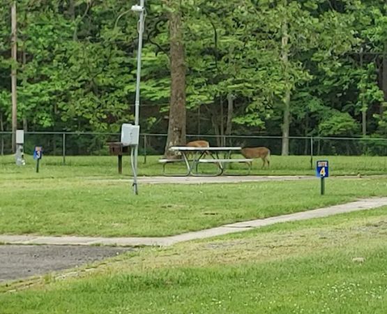 Navy Earle MWR RV Park