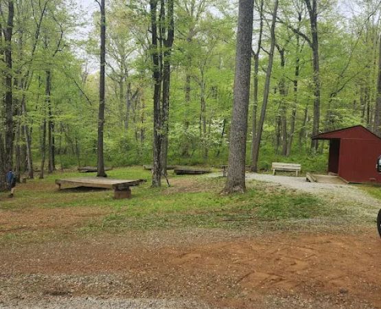 Lewis Morris Park Campground