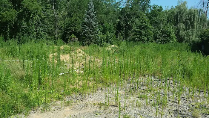 Finn's Mobile Home Park & Sales 6