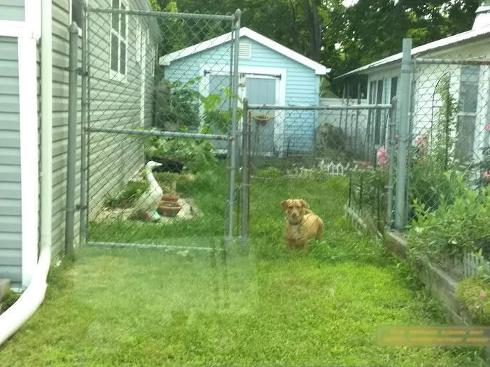 Finn's Mobile Home Park & Sales 0