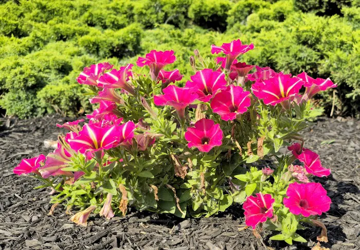 Oakdale Manufactured Home Community 3