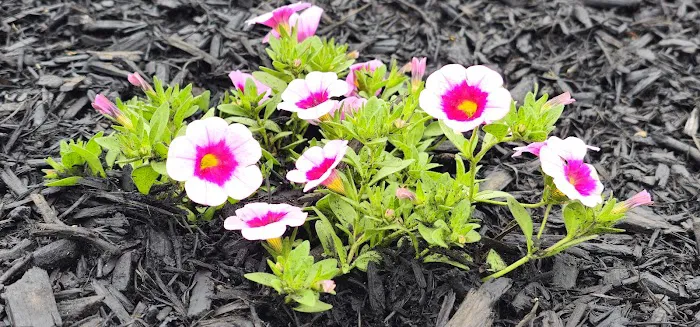 Oakdale Manufactured Home Community 7