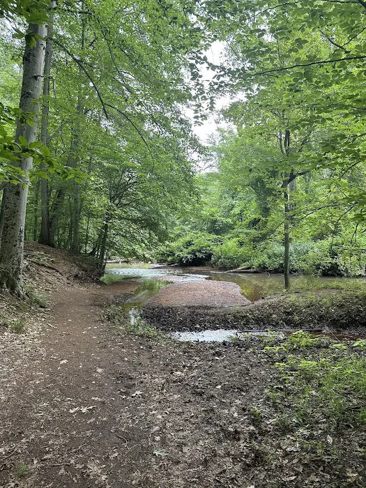 Thompson Park Scout Reservation 4