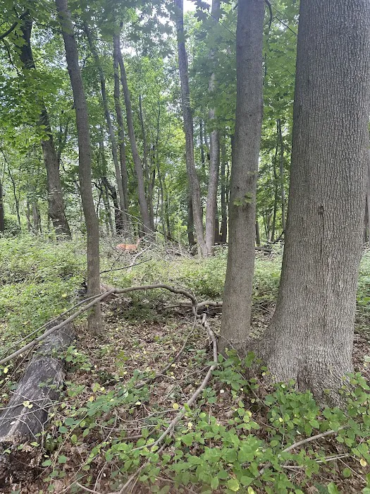 Thompson Park Scout Reservation 0