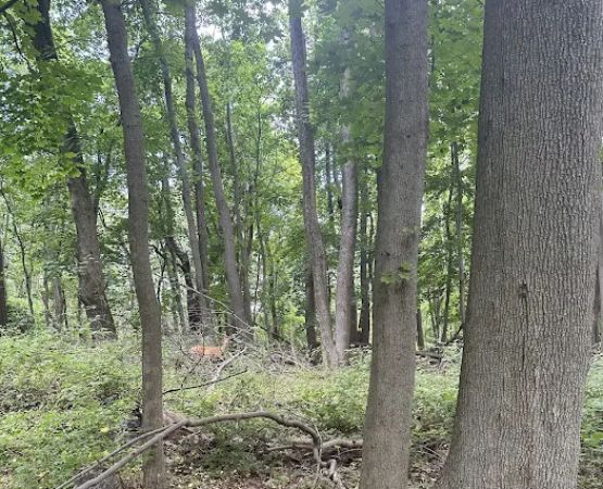 Thompson Park Scout Reservation