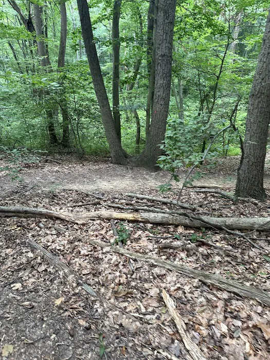 Thompson Park Scout Reservation 2