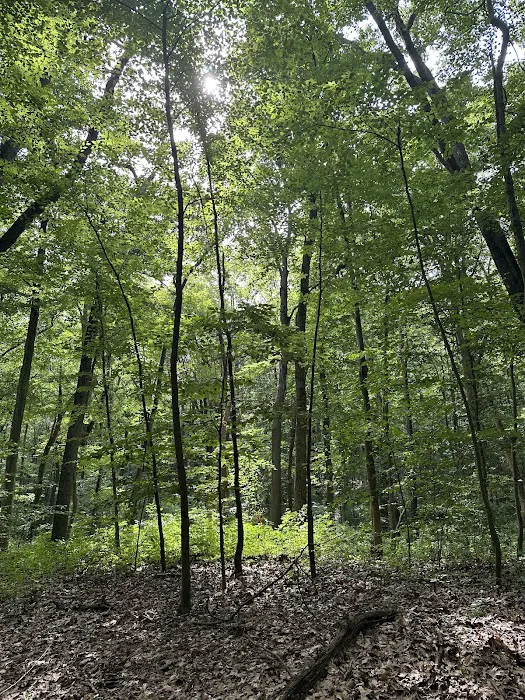 Thompson Park Scout Reservation 6