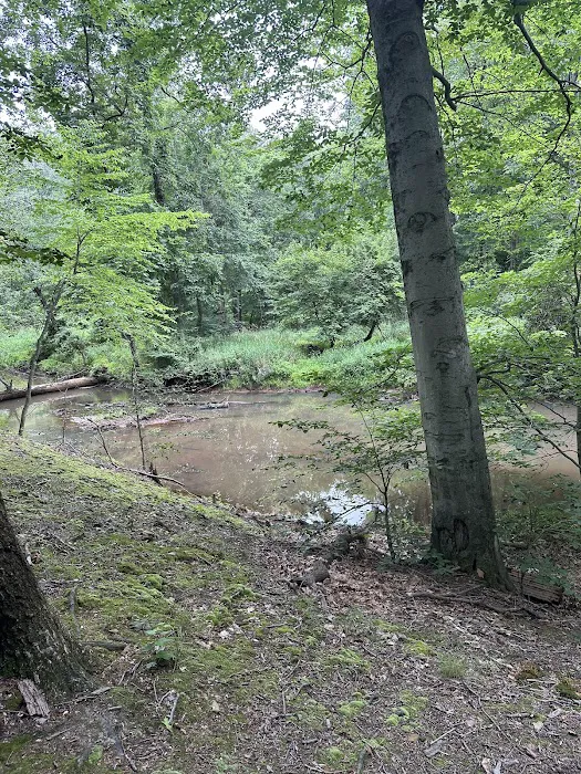 Thompson Park Scout Reservation 7