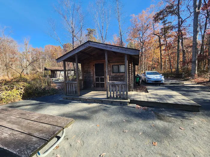 Turkey Swamp Campground 8