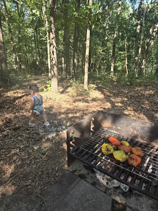 Turkey Swamp Campground 1