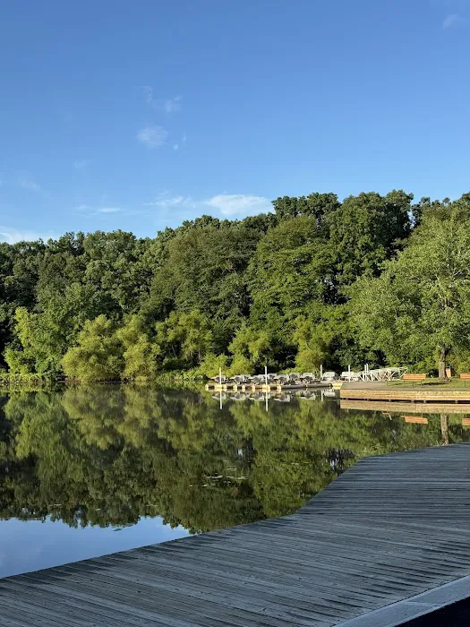 Turkey Swamp Campground 5