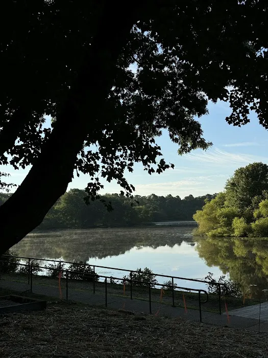 Turkey Swamp Campground 6