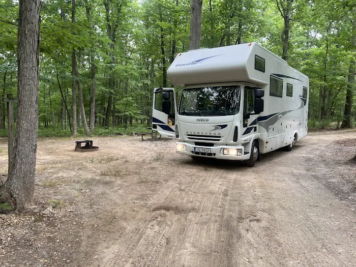 Turkey Swamp Campground 2