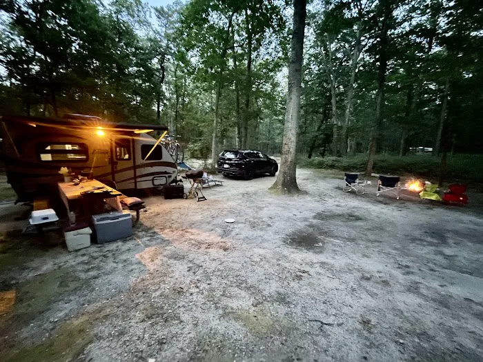 Turkey Swamp Campground 4