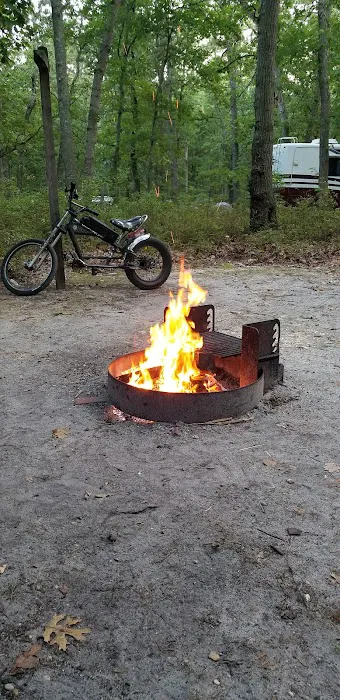 Turkey Swamp Campground 3