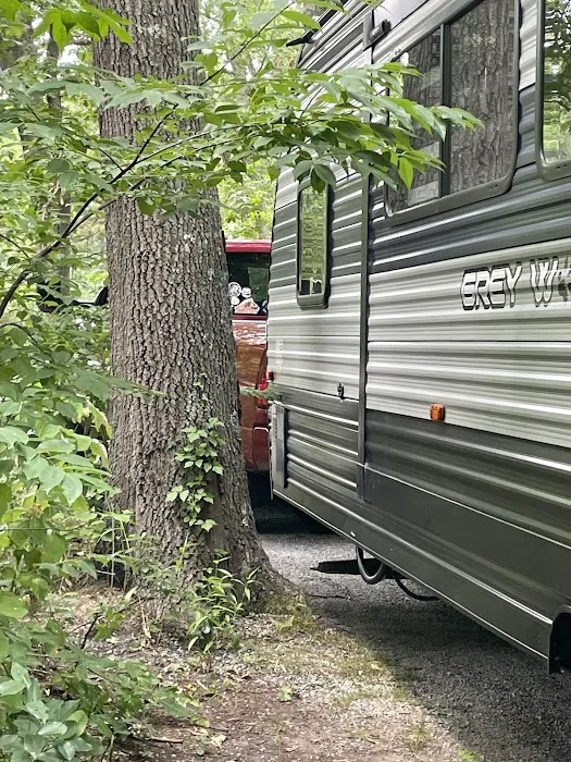 Allaire State Park Campground 0