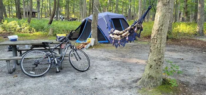 Allaire State Park Campground 4