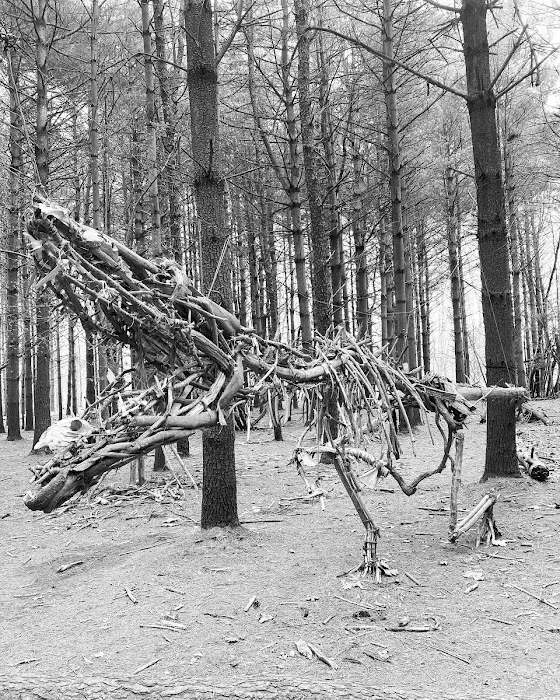 Allaire State Park Campground 8