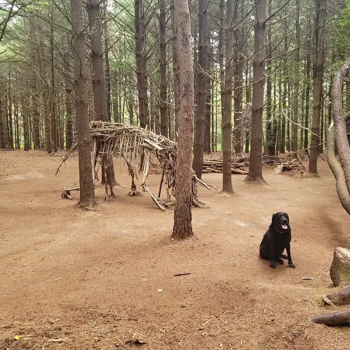 Allaire State Park Group Campsite 5