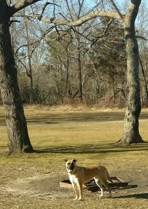 Allaire State Park Group Campsite 3