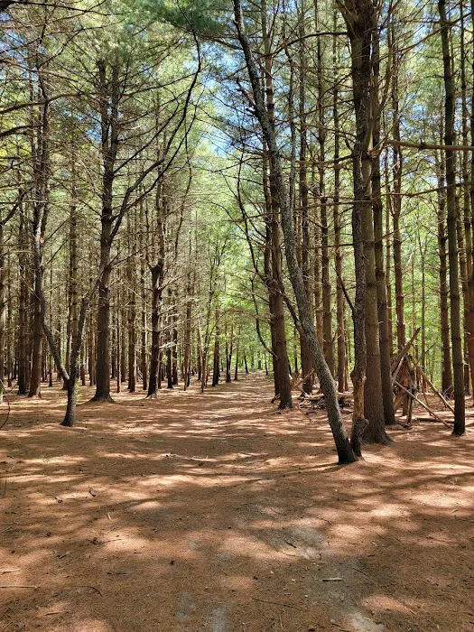Allaire State Park Group Campsite 4