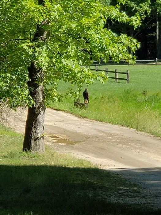 Nomoco Activity Area 1