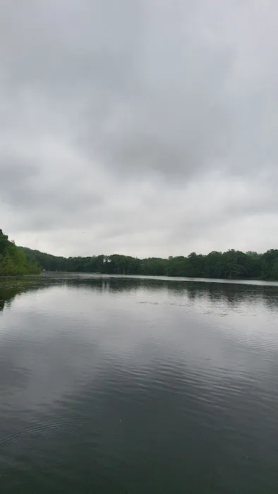 Camp Vacamas Day Camp 6