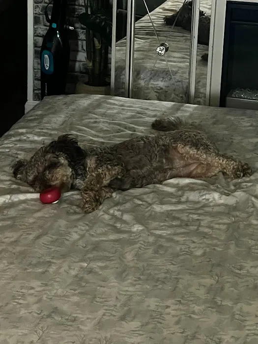 Metropolitan Reserve Manufactured Home Community 8