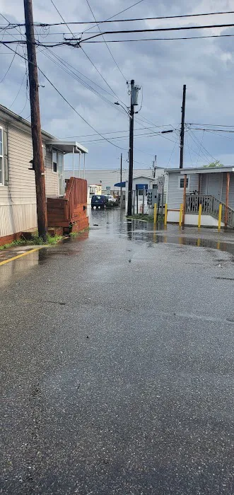 Vanguard Associates 8