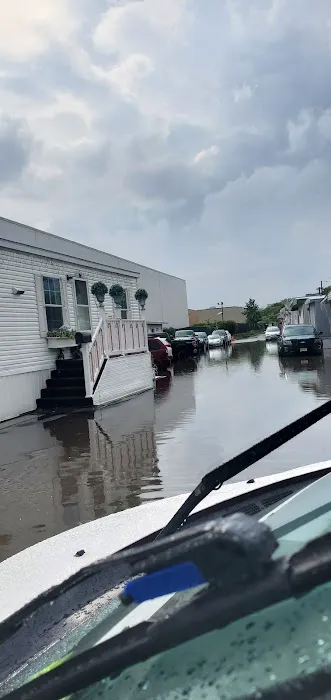 Vanguard Associates 1