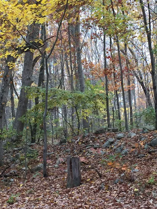 Sun-Air Lakeside Camp 9