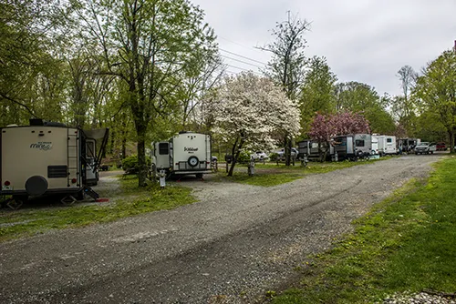 Fla-Net Park Campground 2