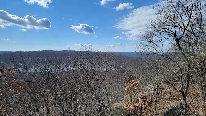 Mahlon Dickerson Campgrounds 8