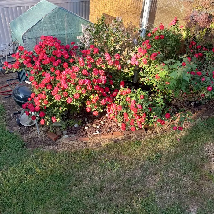 Friendly Mobile Park 0