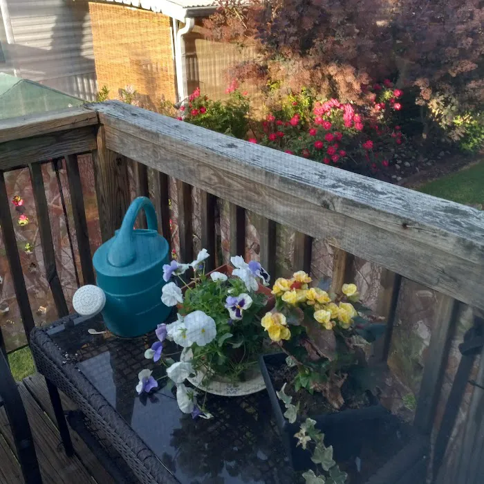 Friendly Mobile Park 2