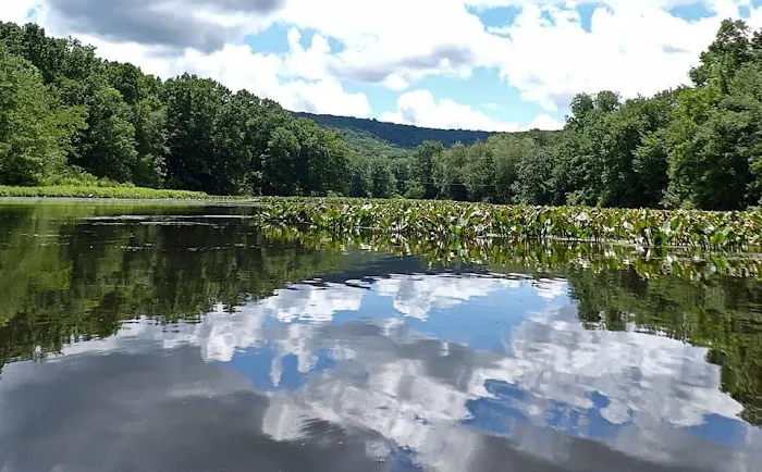 Stephens State Park Campground 1