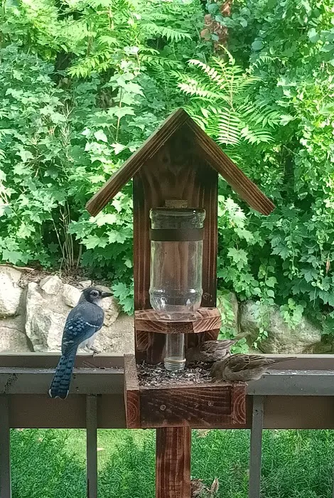 Stephens State Park Campground 3