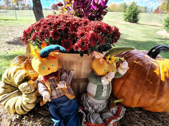 Pickell Mountain Park 1