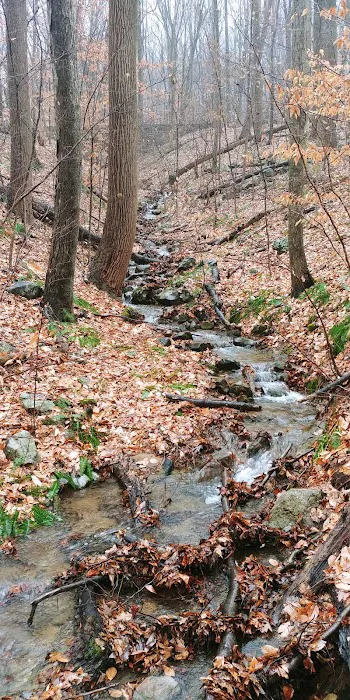 Voorhees State Park 6