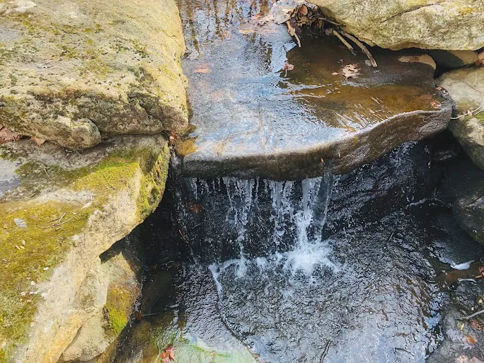 Voorhees State Park 7