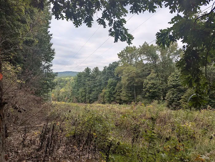 Voorhees State Park Campground 4