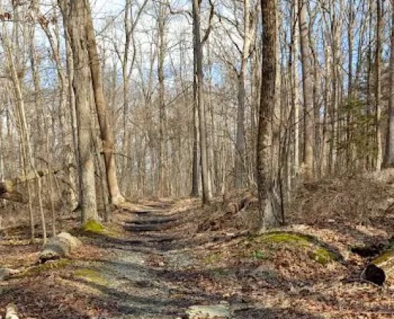 Voorhees State Park Campground
