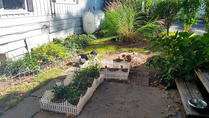 Bogert's Ranch Estates Inc 6